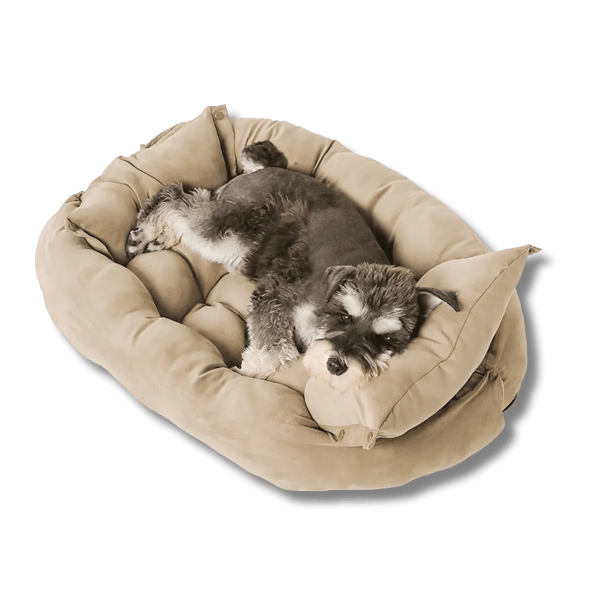 3-in-1 Luxury Sofa Dog Bed