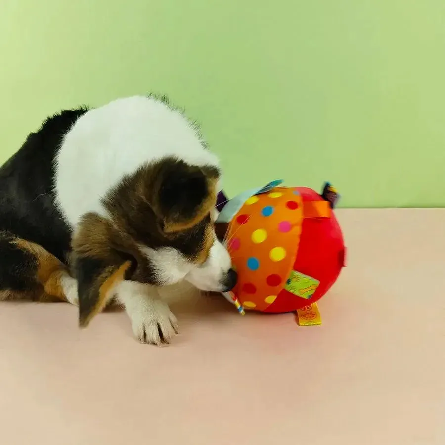 Bell-Filled Plush Dog Ball Chew Delight