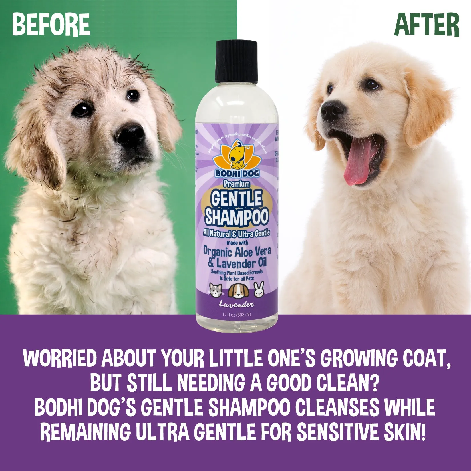 Bodhi Dog Premium Gentle Shampoo | Soothing & Ultra Gentle Puppy Shampoo | Aloe Vera and Lavender Oil | Natural Moisturizing Pet Wash for Puppies, Dogs and Cats | Made in USA (Lavender)