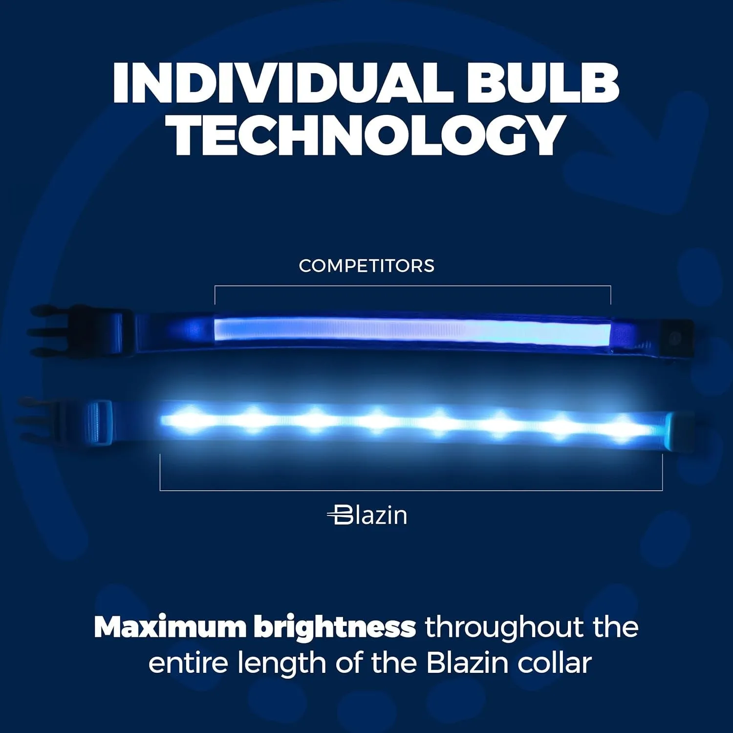 Brightest Light Up Dog Collar - Meet Blazin! 🐾💡