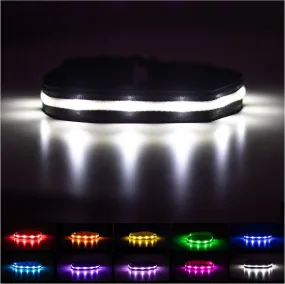 Brightest Light Up Dog Collar - Meet Blazin! 🐾💡