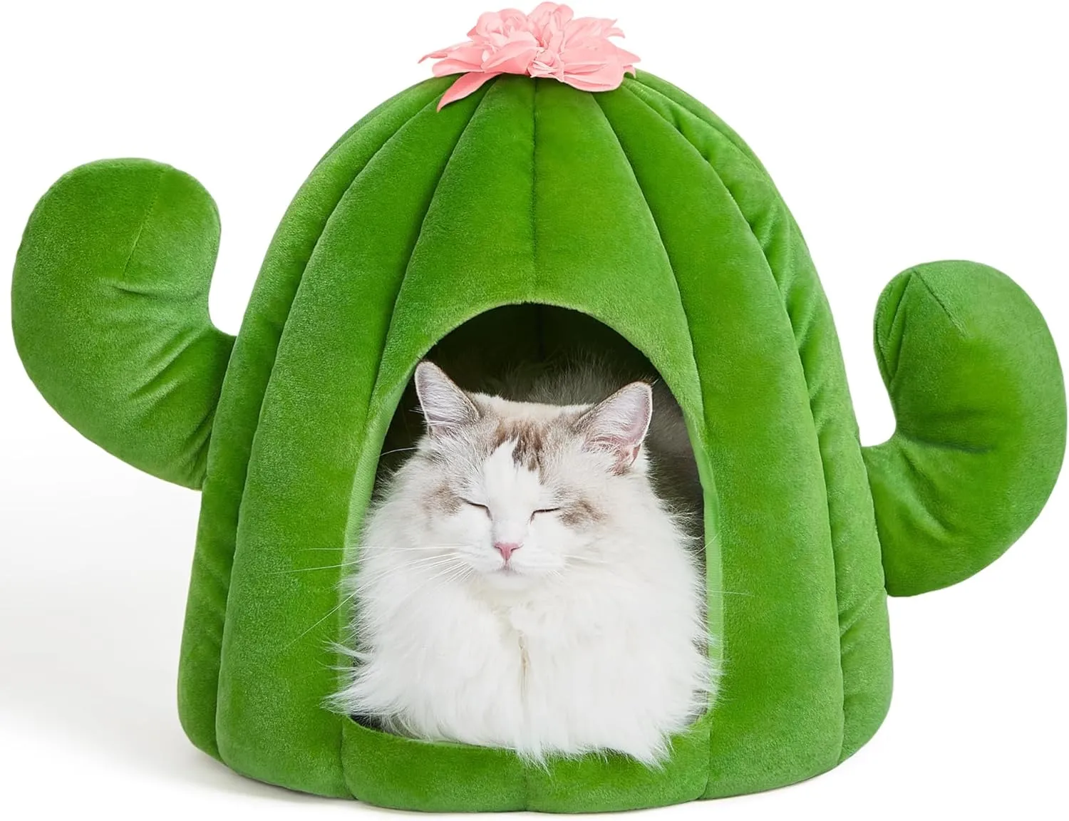 Cactus Cat Beds for Indoor Cats