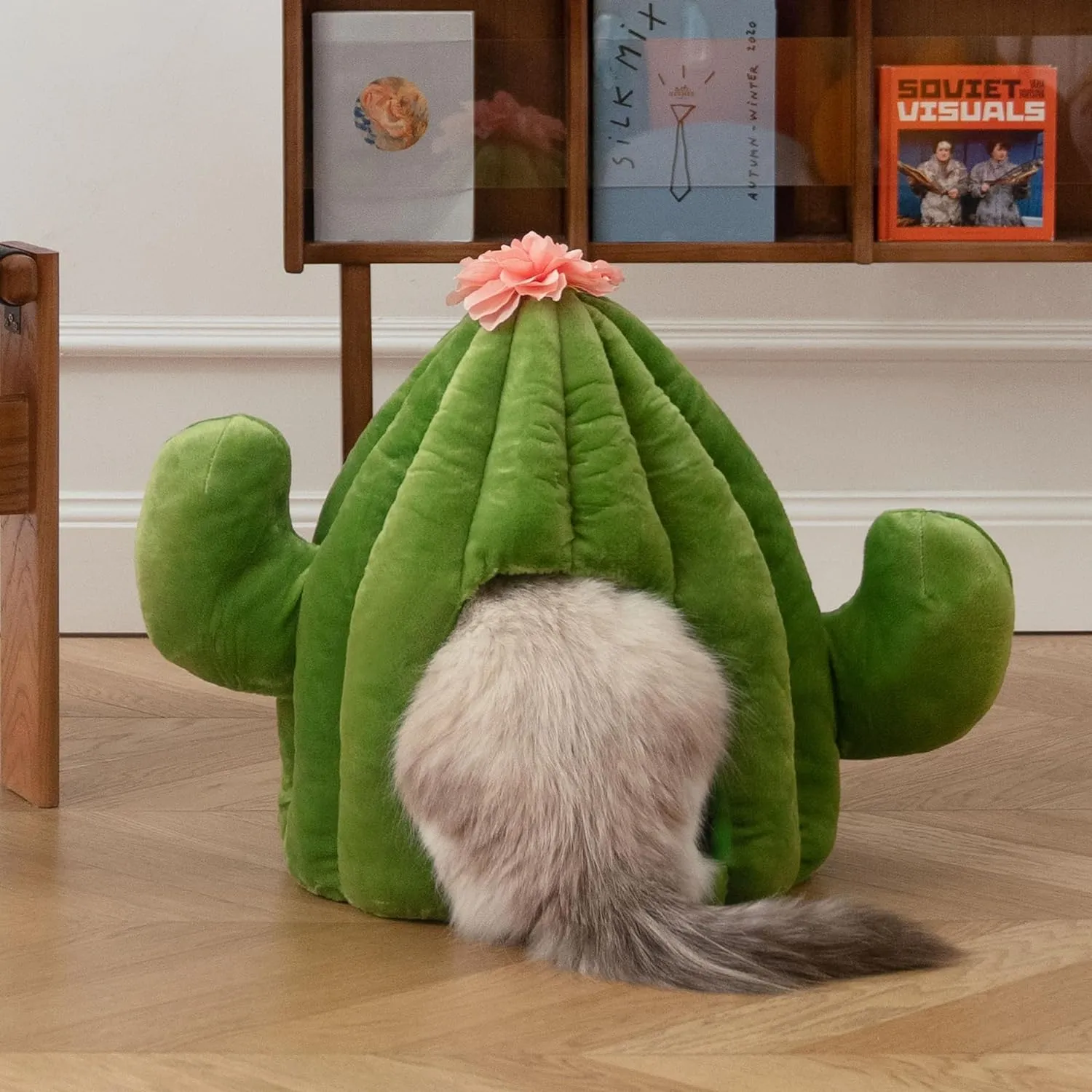 Cactus Cat Beds for Indoor Cats