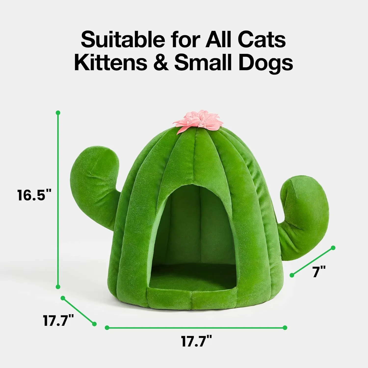 Cactus Cat Beds for Indoor Cats