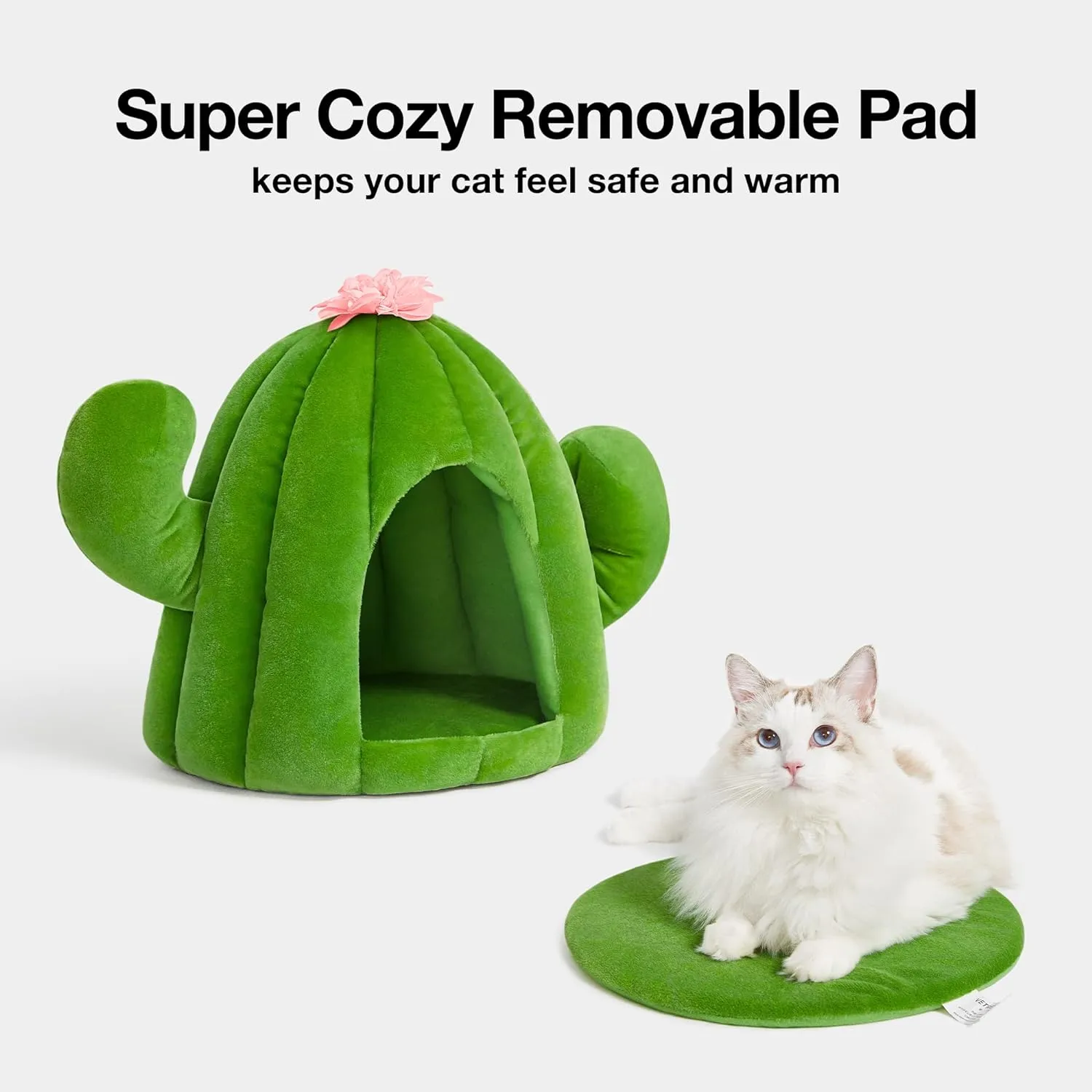 Cactus Cat Beds for Indoor Cats