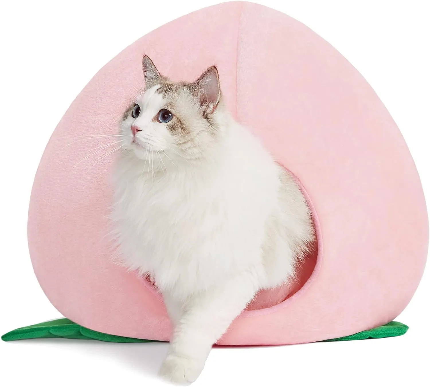 Cactus Cat Beds for Indoor Cats