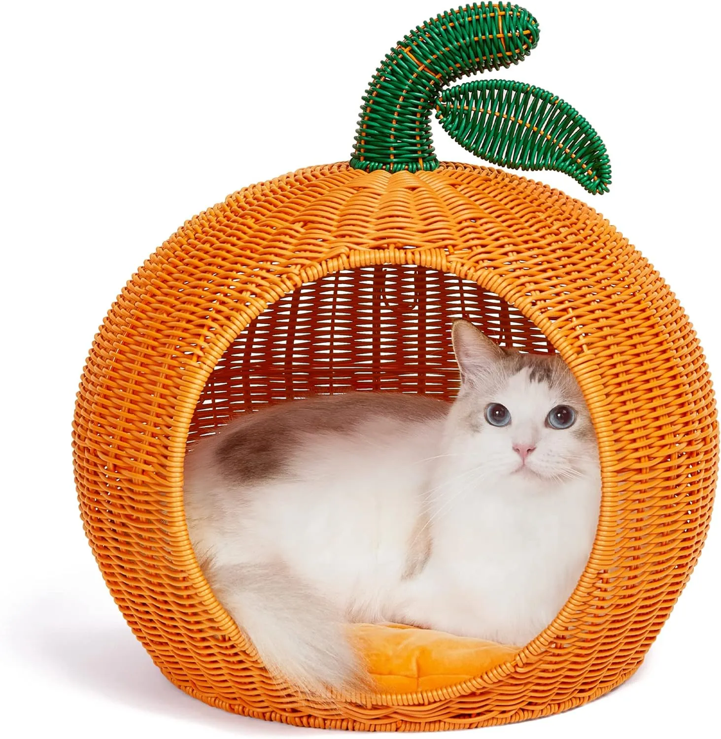 Cactus Cat Beds for Indoor Cats