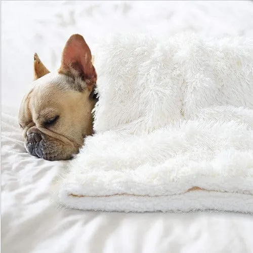 Calming Snuggle Pet Blanket