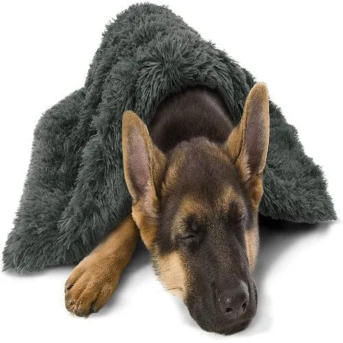 Calming Snuggle Pet Blanket