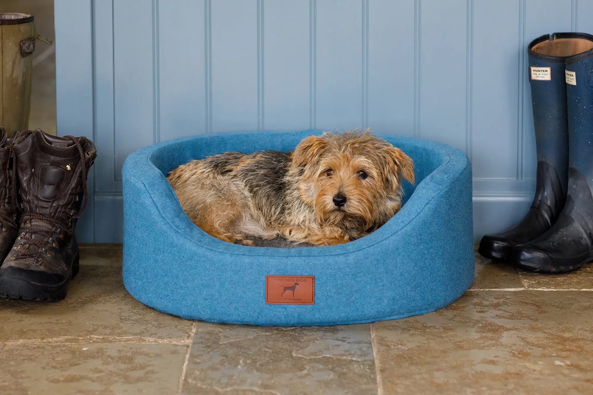 Cerulean Blue Oval Dog Bed