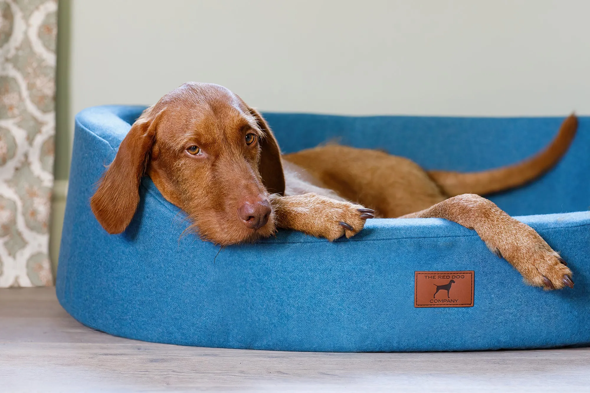 Cerulean Blue Oval Dog Bed