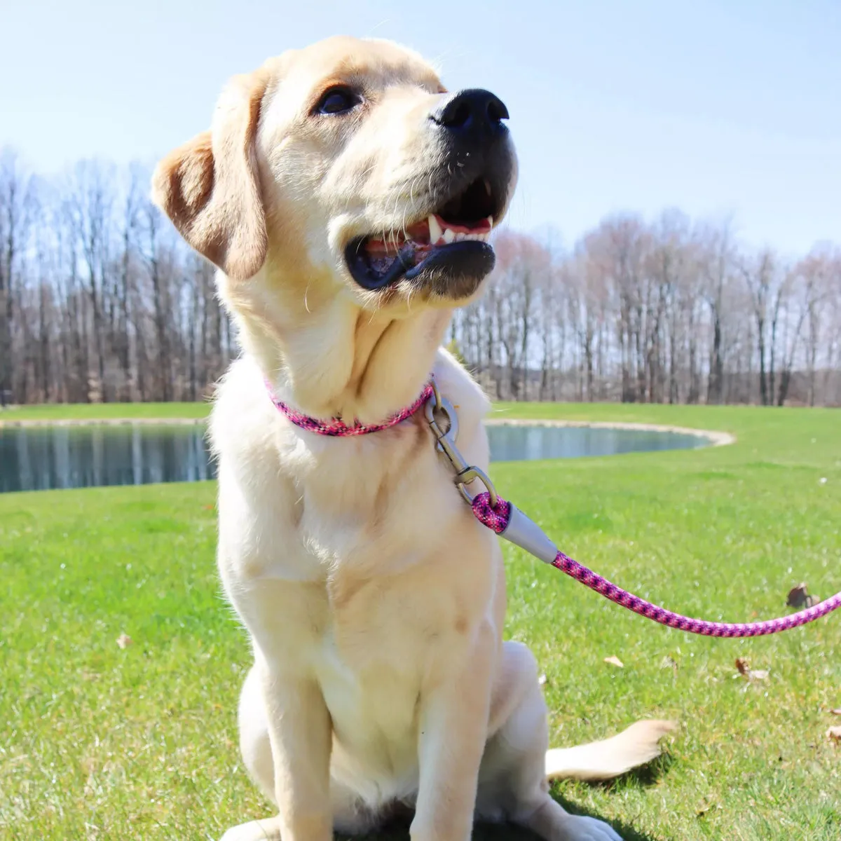 Coastal Pro Active Woven Reflective Rope Leash 6' Pixel Pink