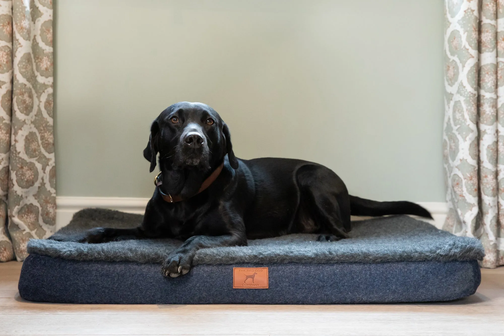 Cobalt Blue Dog Mat