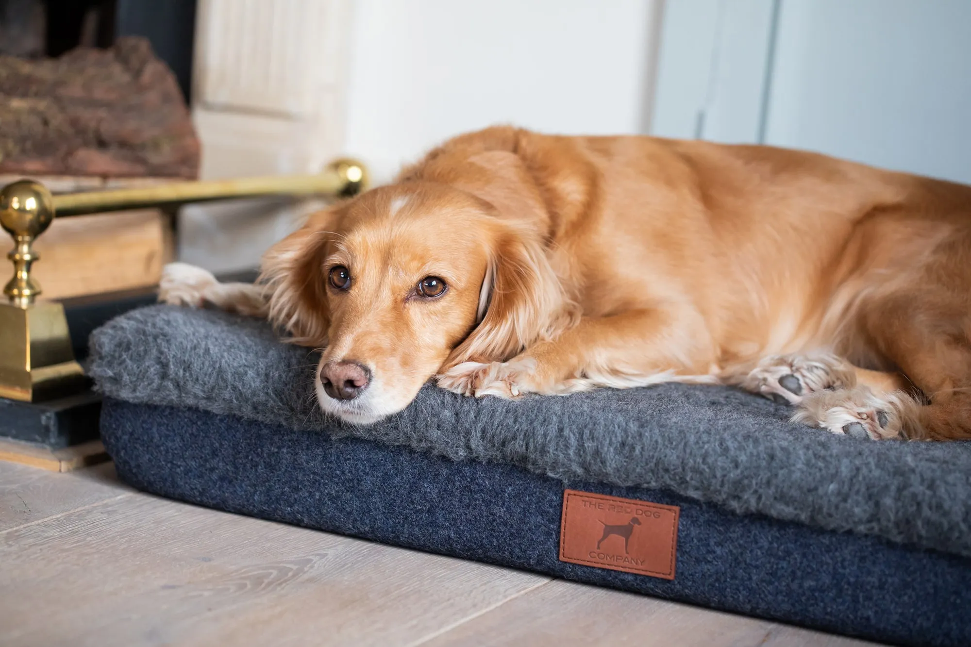 Cobalt Blue Dog Mat