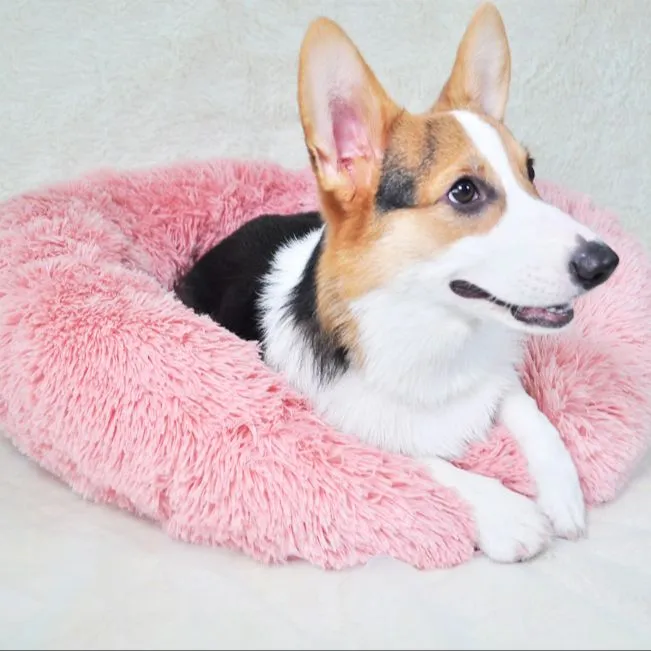 Comfy Calming Pet Bed - Cozy Retreat for Your Pet