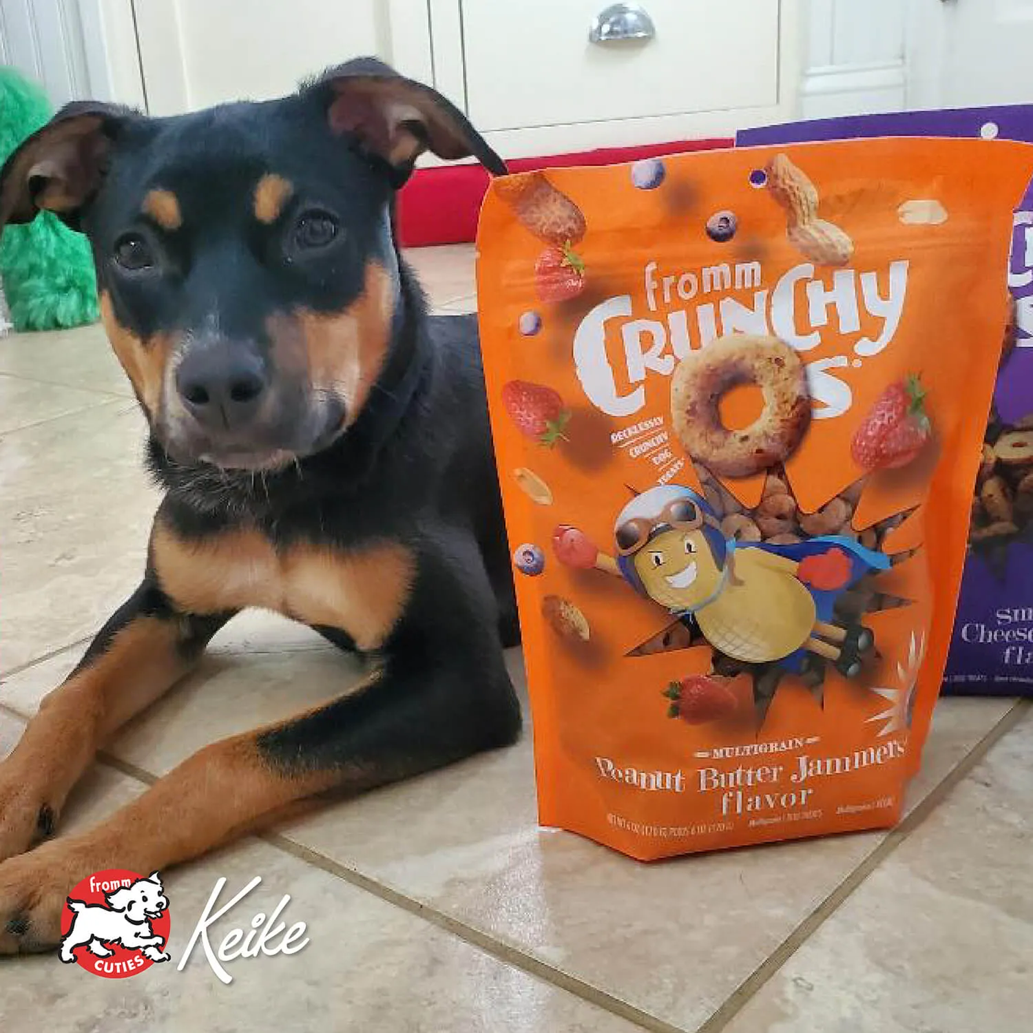 Crunchy O's Peanut Butter Jammers Dog Treats from Fromm