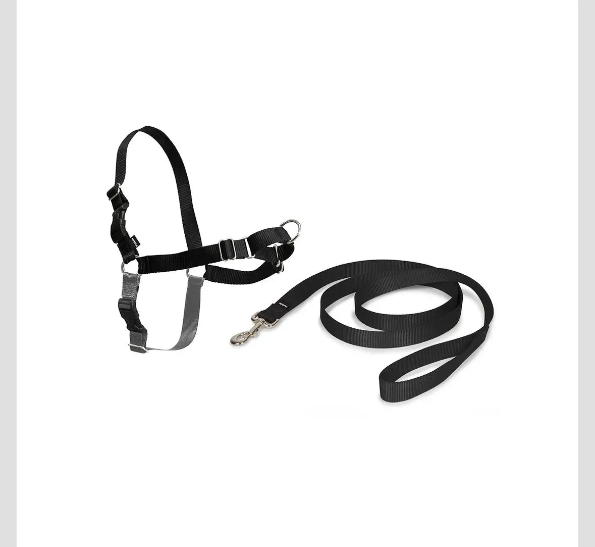 EASY WALK HARNESS (with leash)