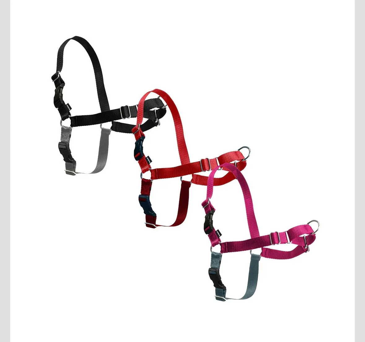 EASY WALK HARNESS (with leash)