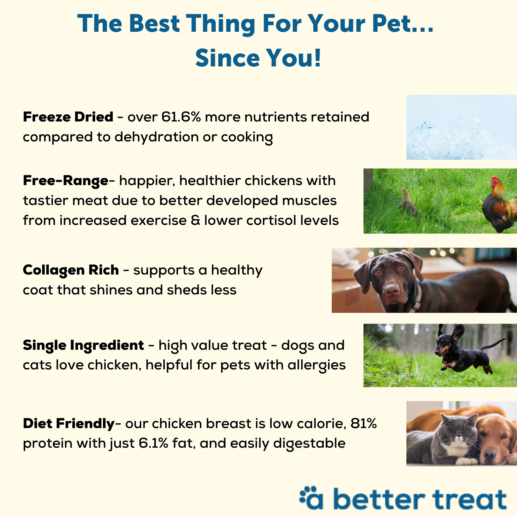 Freeze Dried Free Range Chicken Breast Dog and Cat Treats