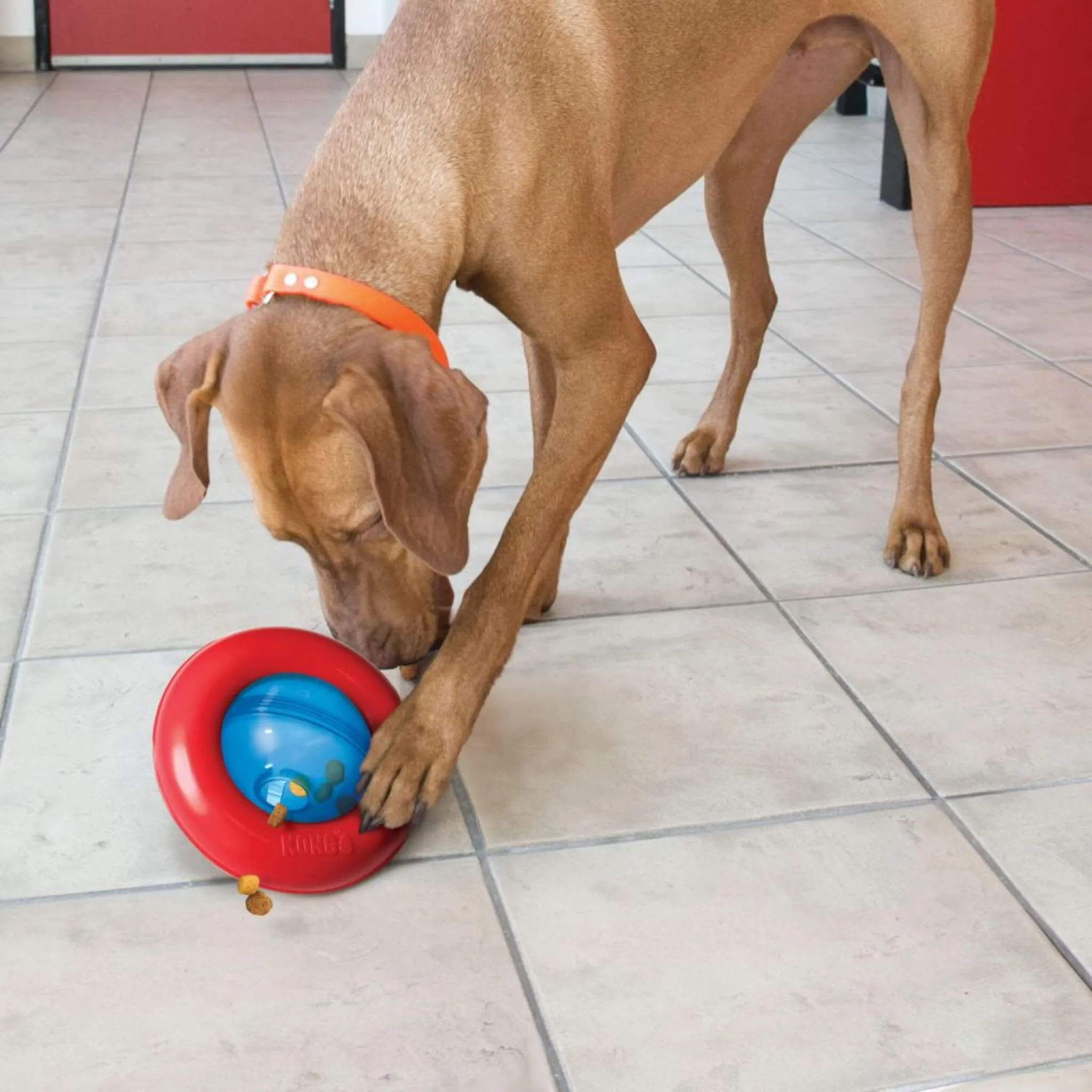 Gyro Treat Dispensing Interactive Dog Toy