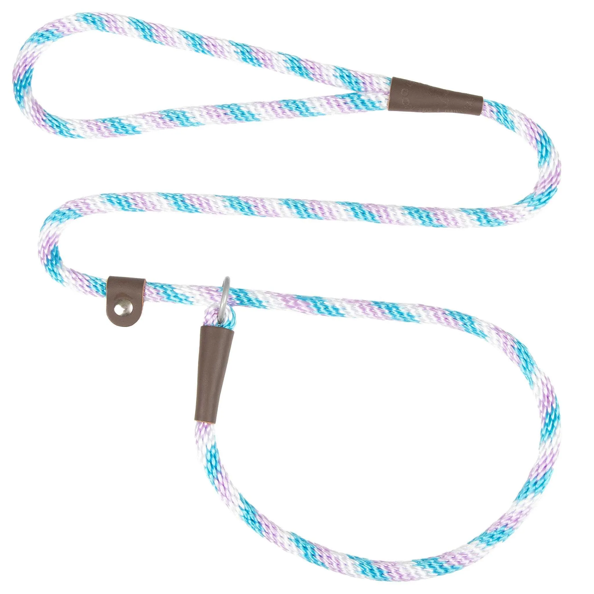 Holiday/Seasonal Fun Leashes