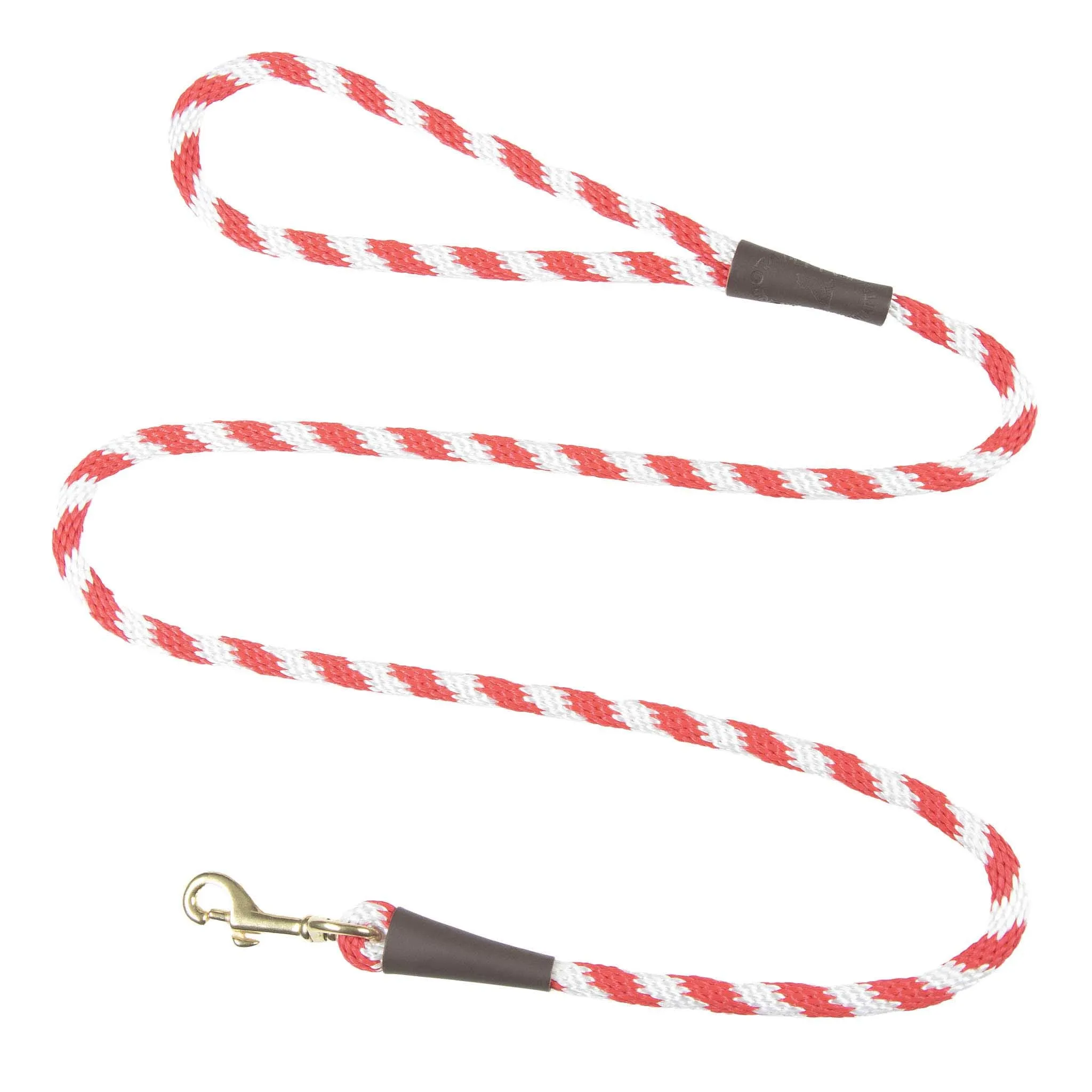 Holiday/Seasonal Fun Leashes