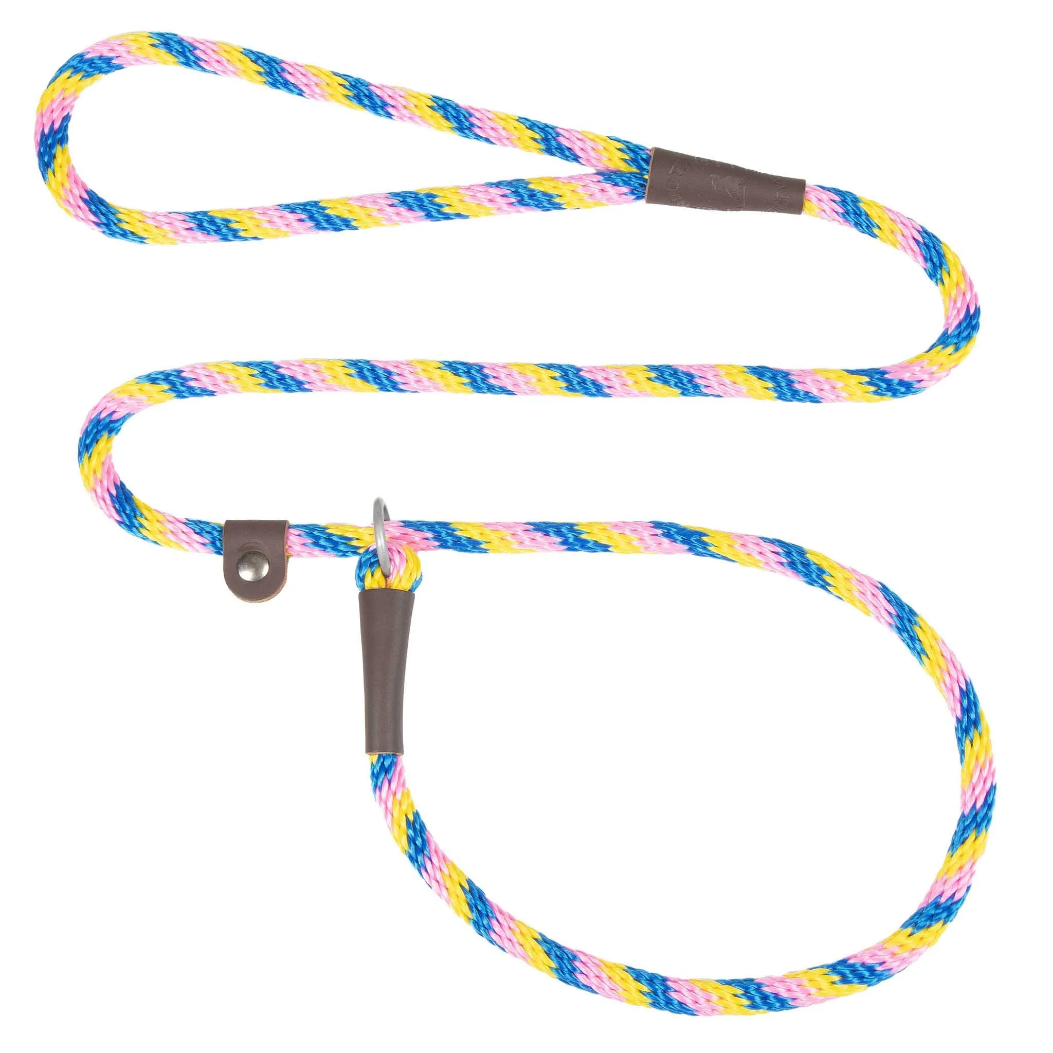 Holiday/Seasonal Fun Leashes