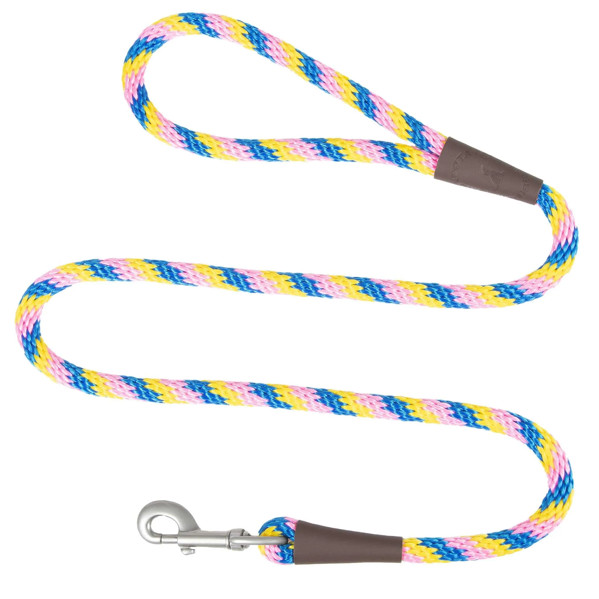 Holiday/Seasonal Fun Leashes