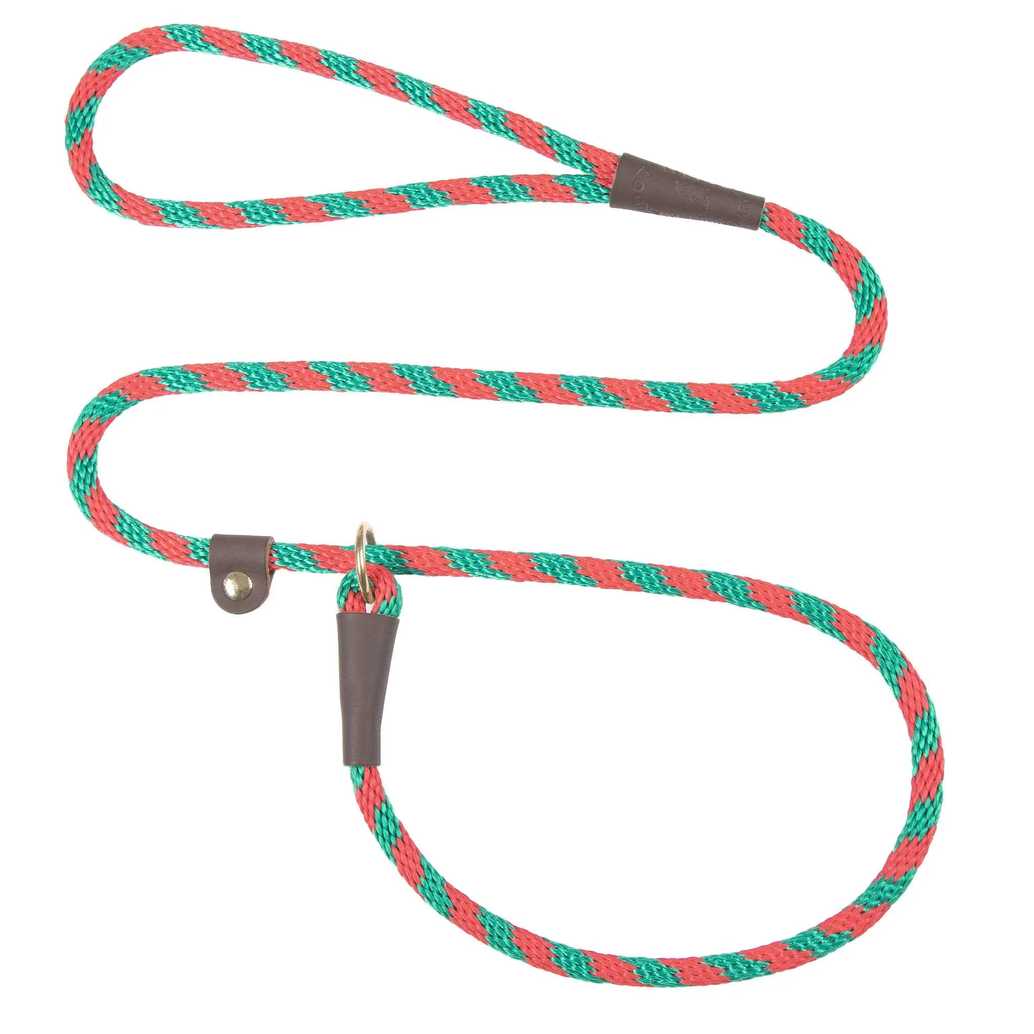 Holiday/Seasonal Fun Leashes