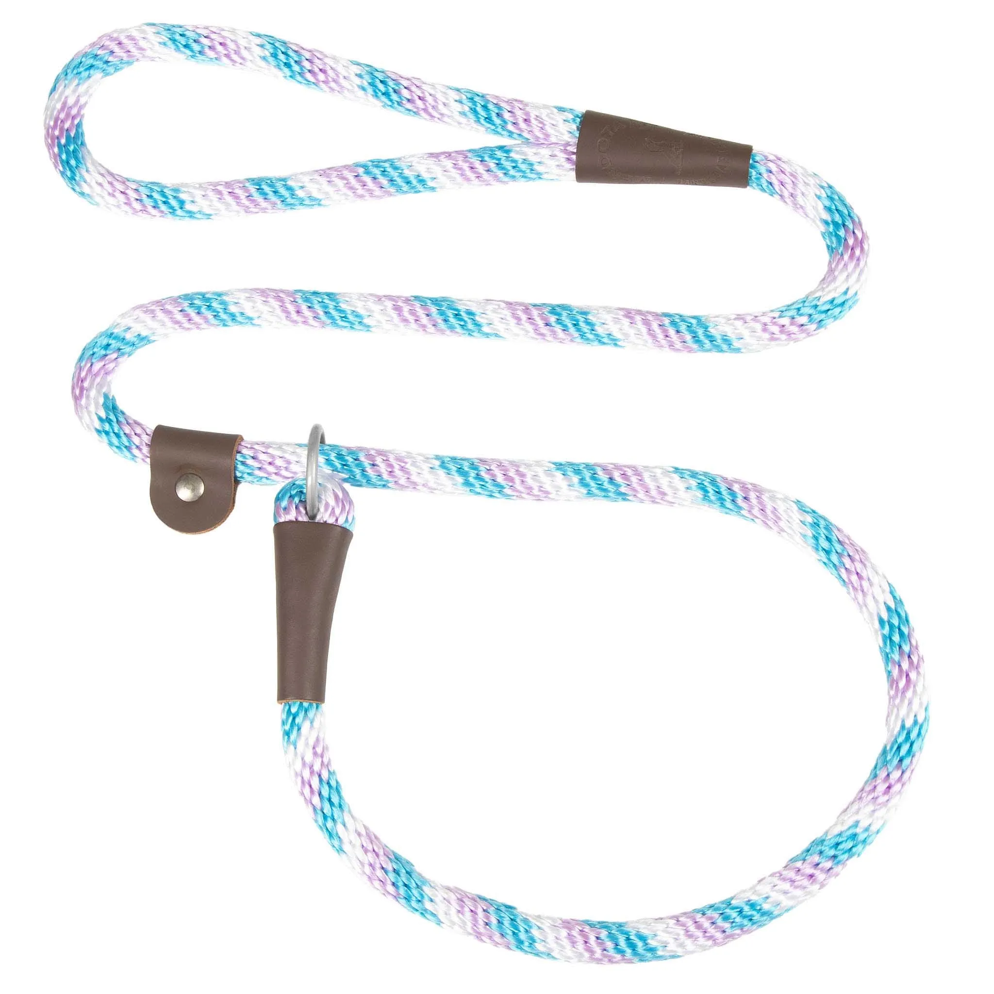 Holiday/Seasonal Fun Leashes