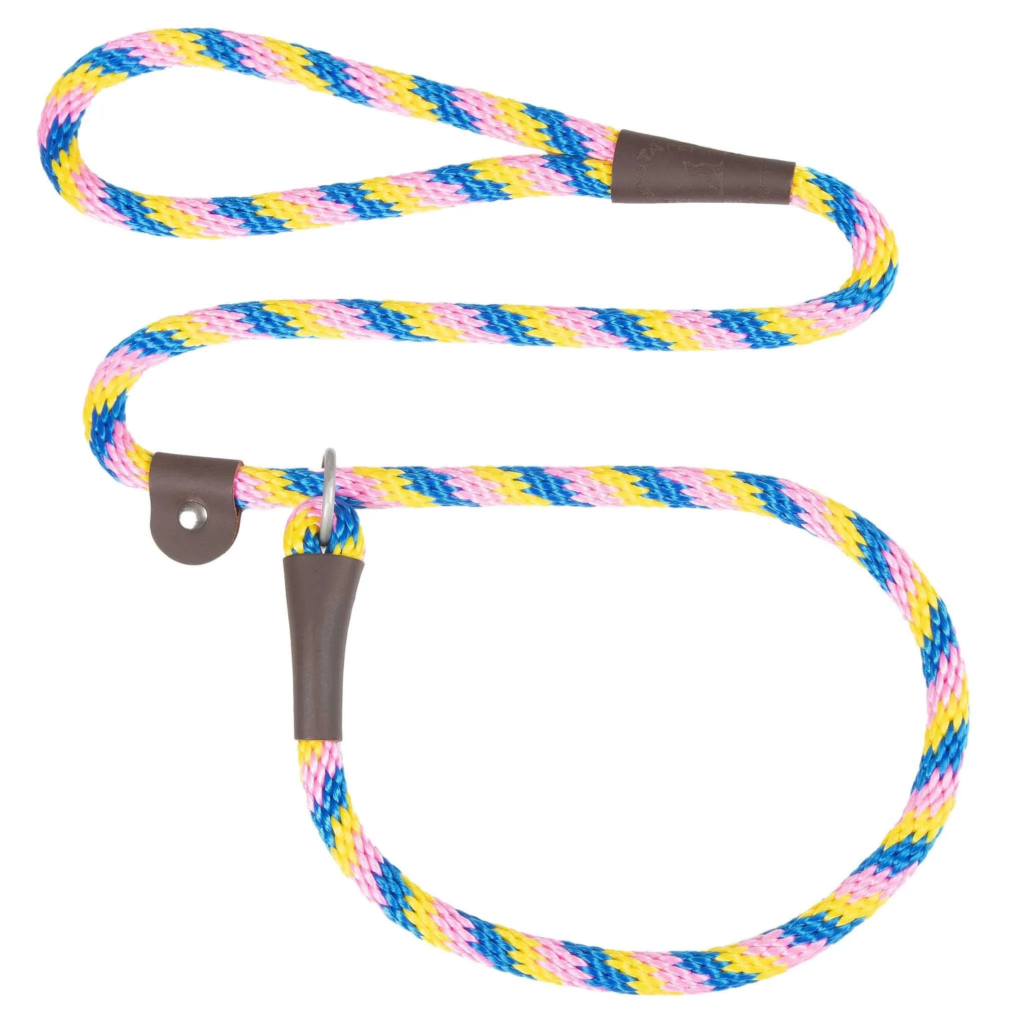 Holiday/Seasonal Fun Leashes