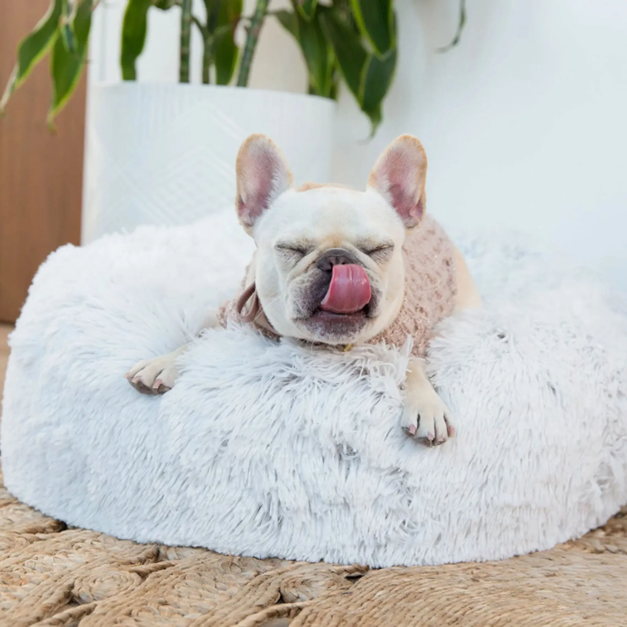 Jax & Bones Arctic Shag Donut Bed - Small