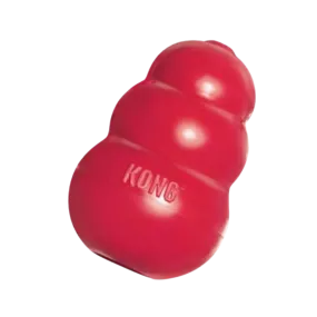 KONG Classic Dog Toy