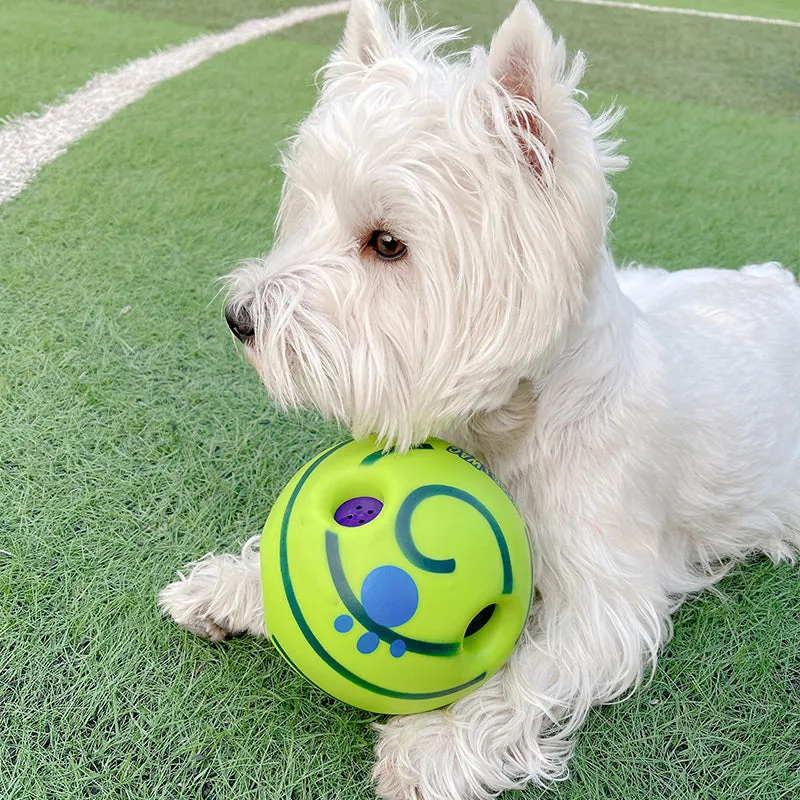 Lovely Paw Football Dog Toy