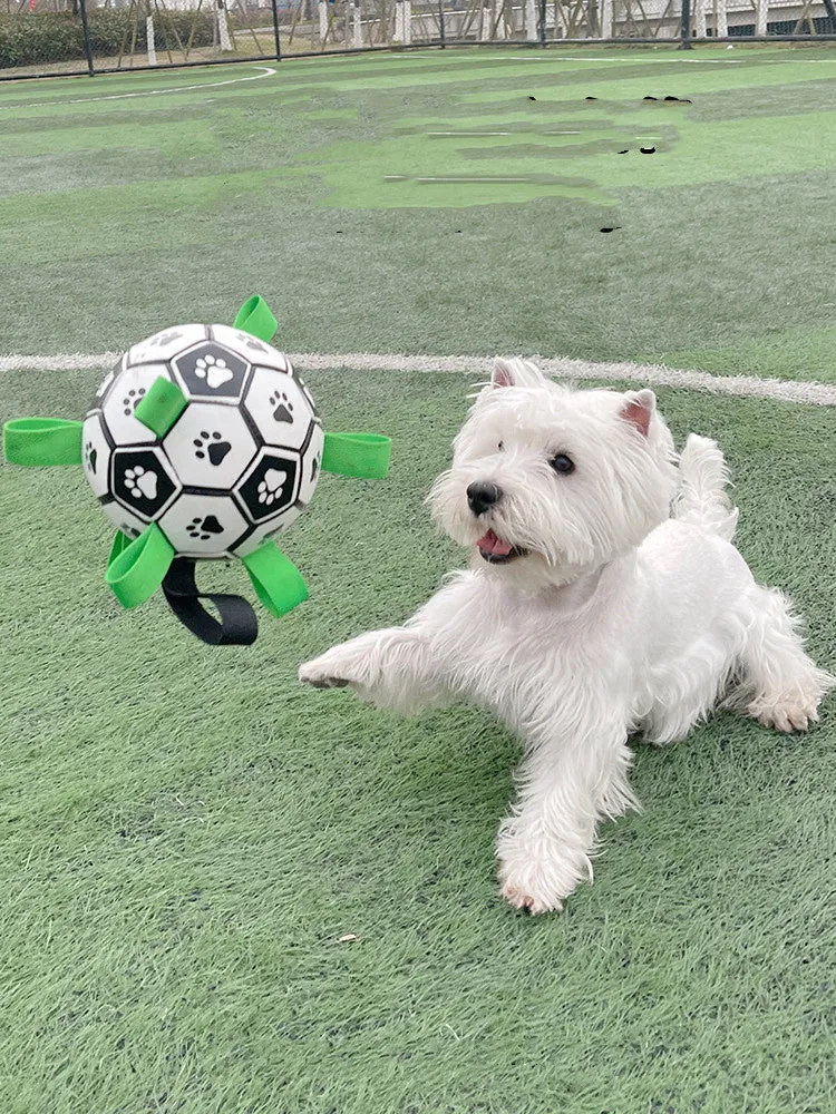 Lovely Paw Football Dog Toy