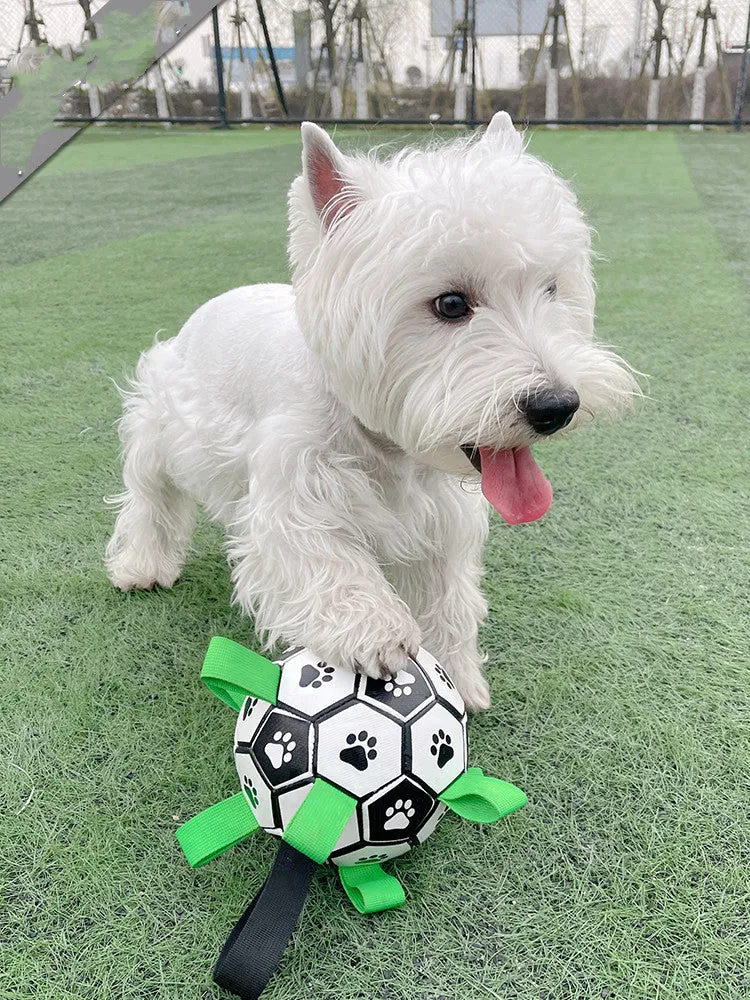 Lovely Paw Football Dog Toy