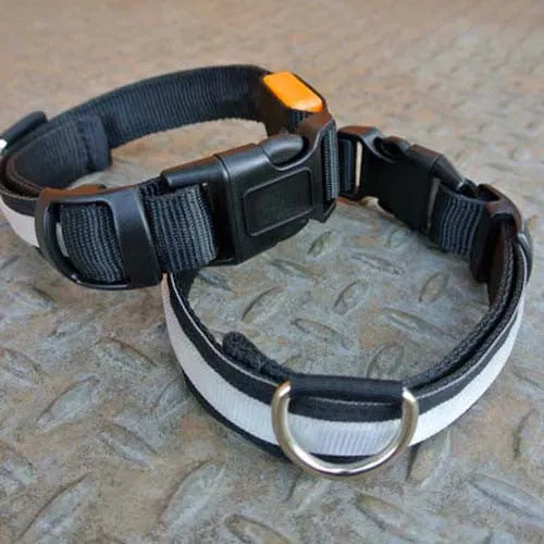 Lumi Illuminated Pet Collars