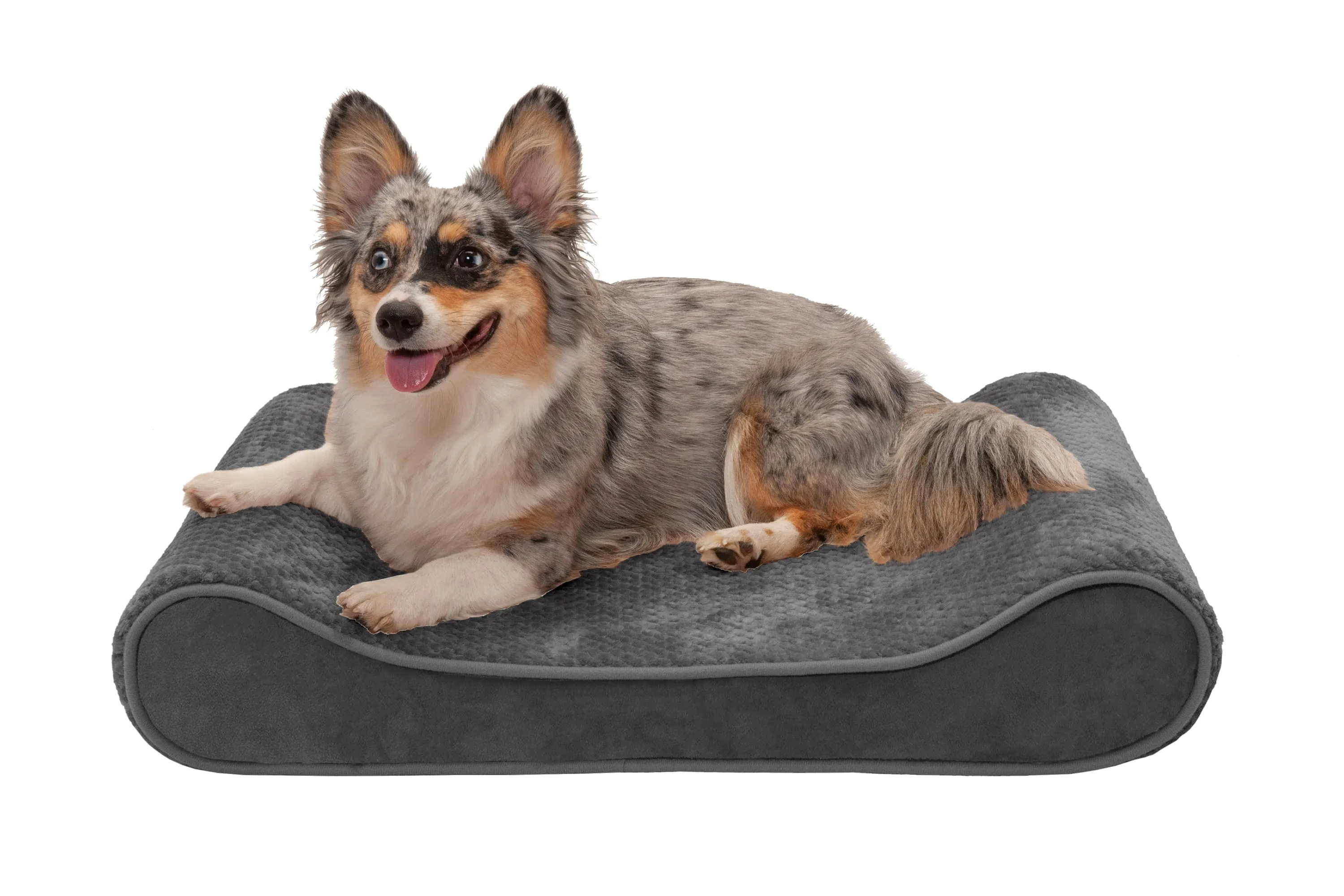 Luxe Lounger Contour Dog Bed - Minky Plush & Velvet