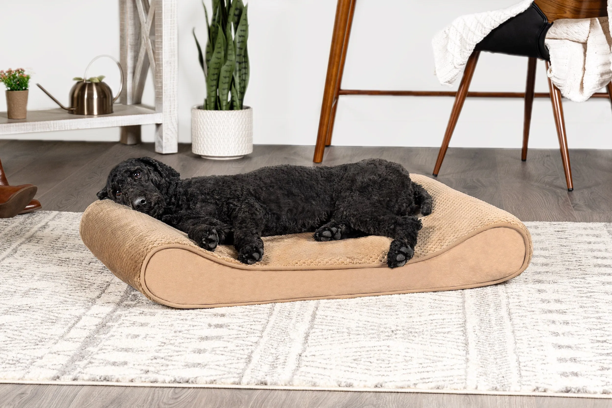 Luxe Lounger Contour Dog Bed - Minky Plush & Velvet