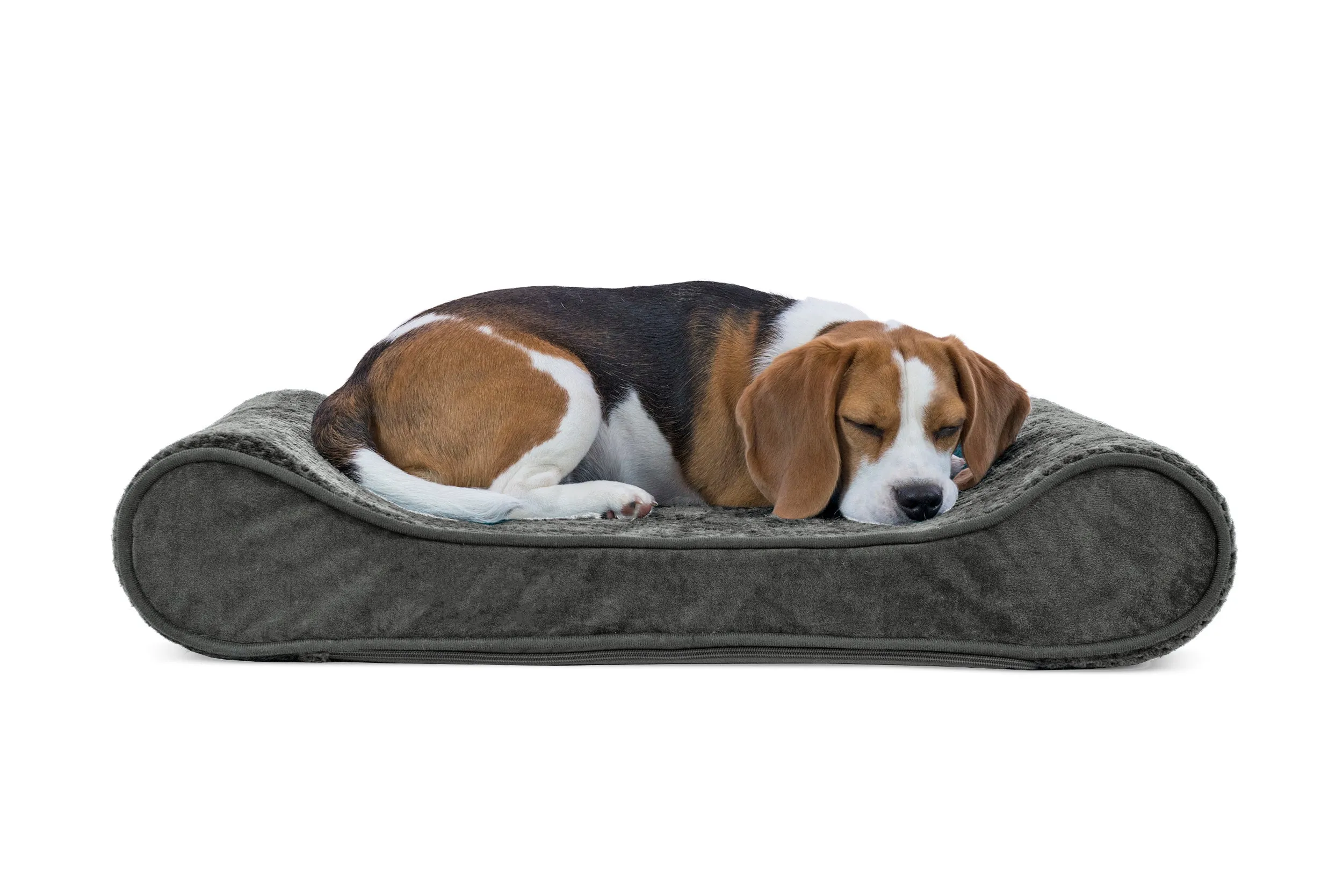 Luxe Lounger Contour Dog Bed - Minky Plush & Velvet