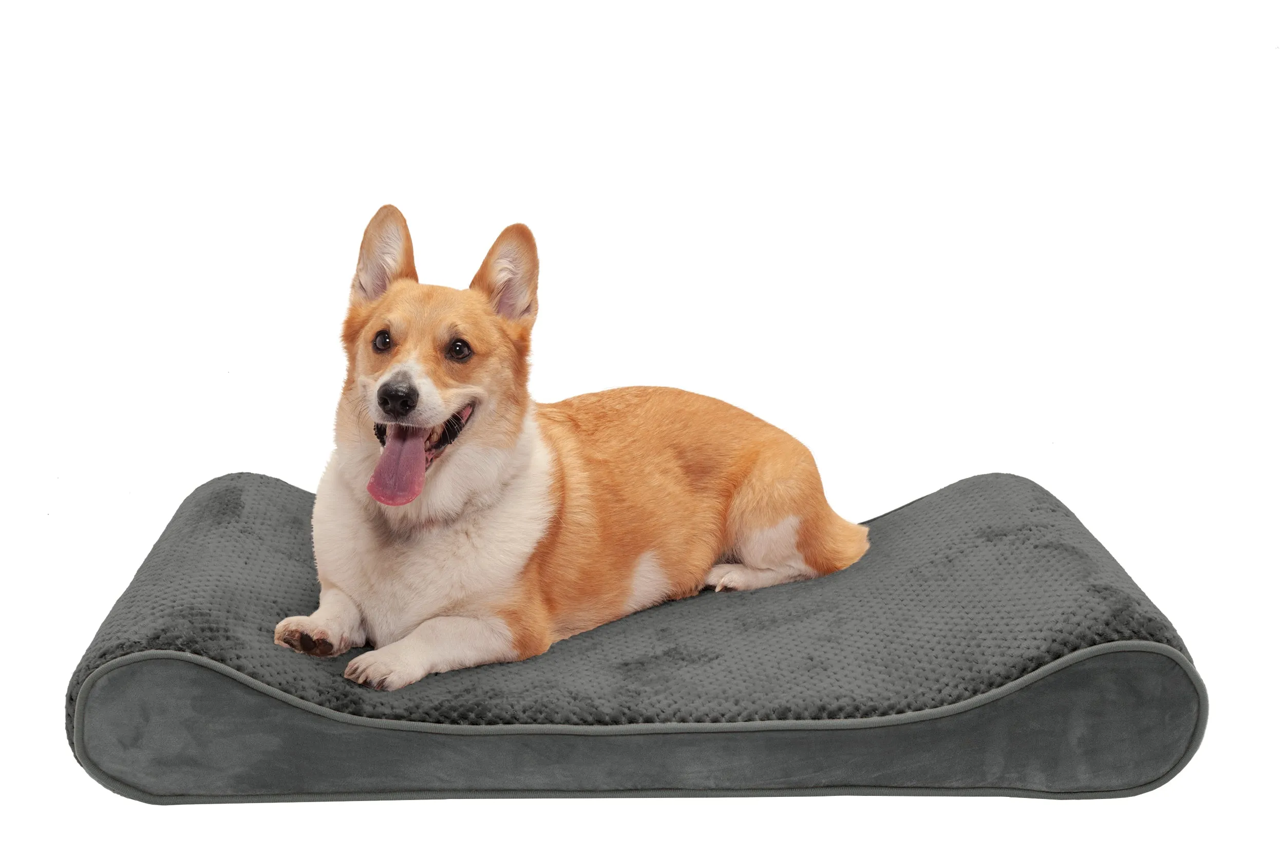 Luxe Lounger Contour Dog Bed - Minky Plush & Velvet