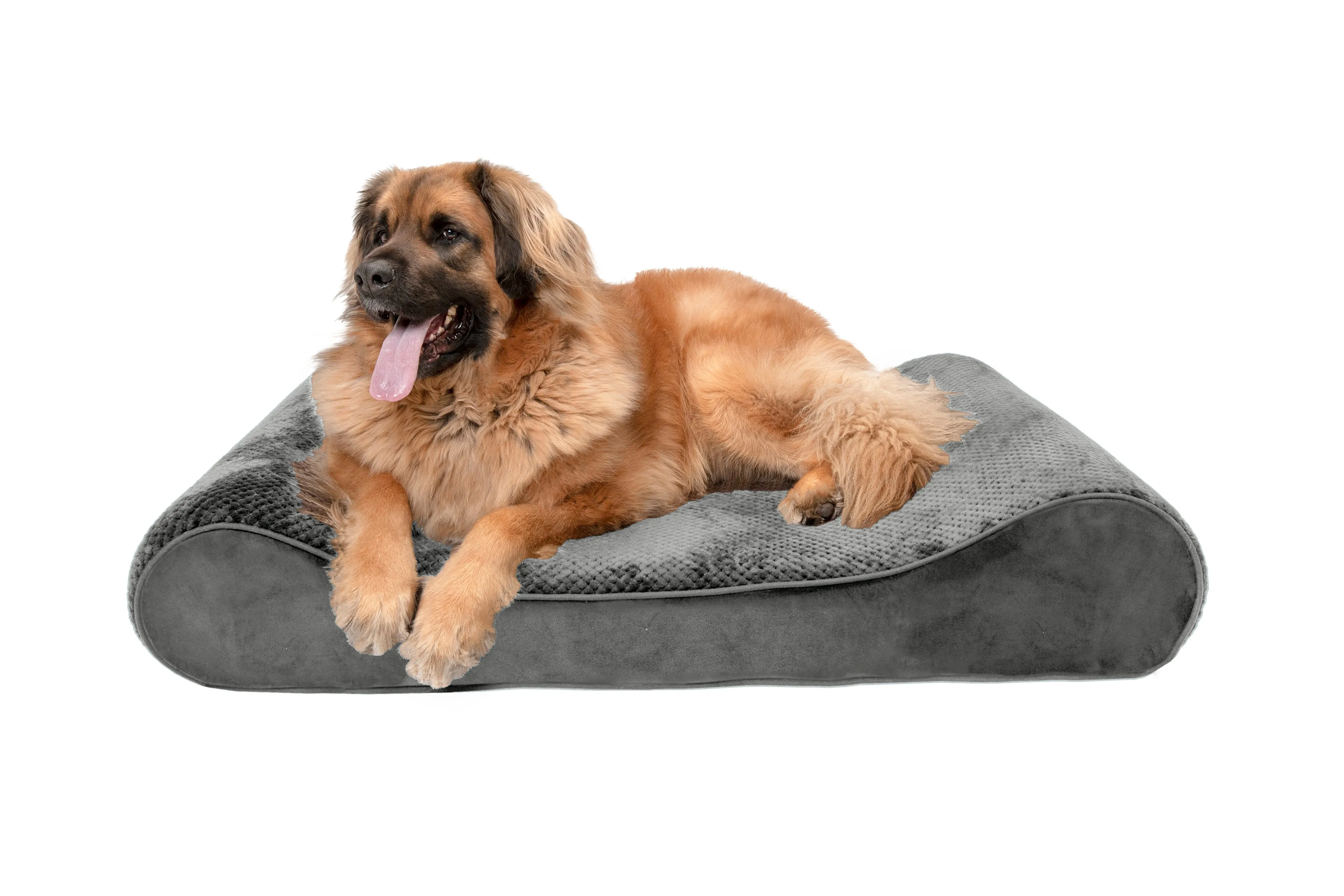 Luxe Lounger Contour Dog Bed - Minky Plush & Velvet