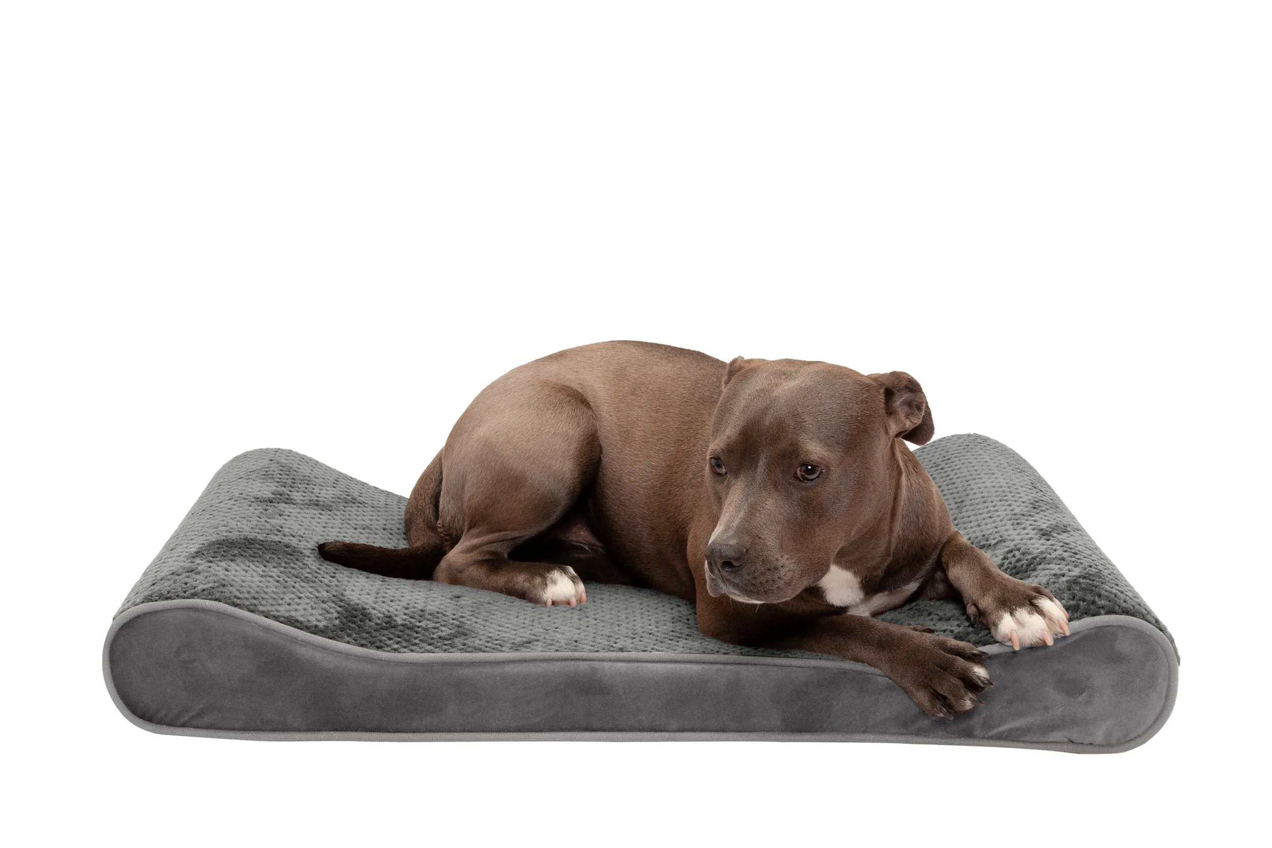 Luxe Lounger Contour Dog Bed - Minky Plush & Velvet