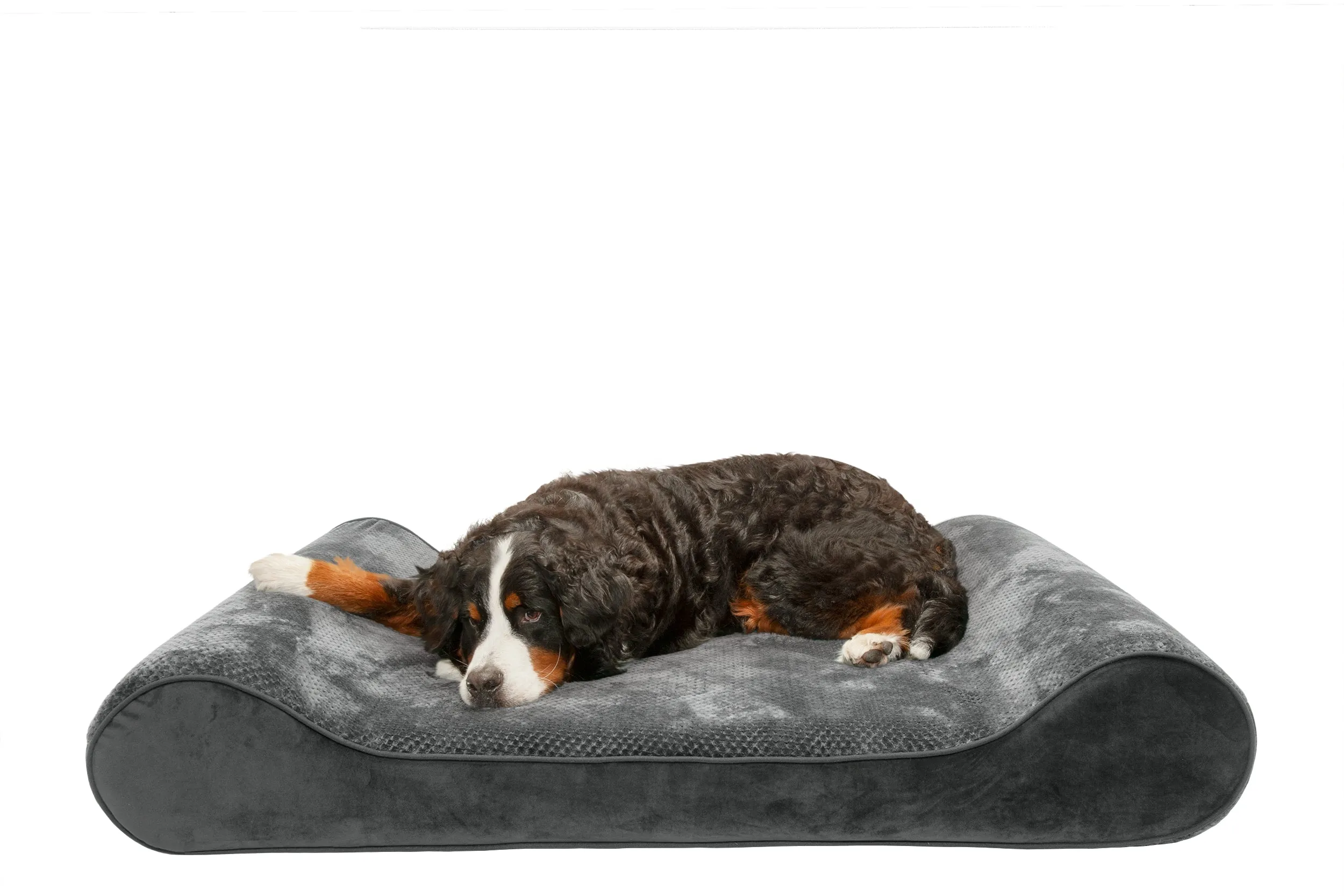 Luxe Lounger Contour Dog Bed - Minky Plush & Velvet