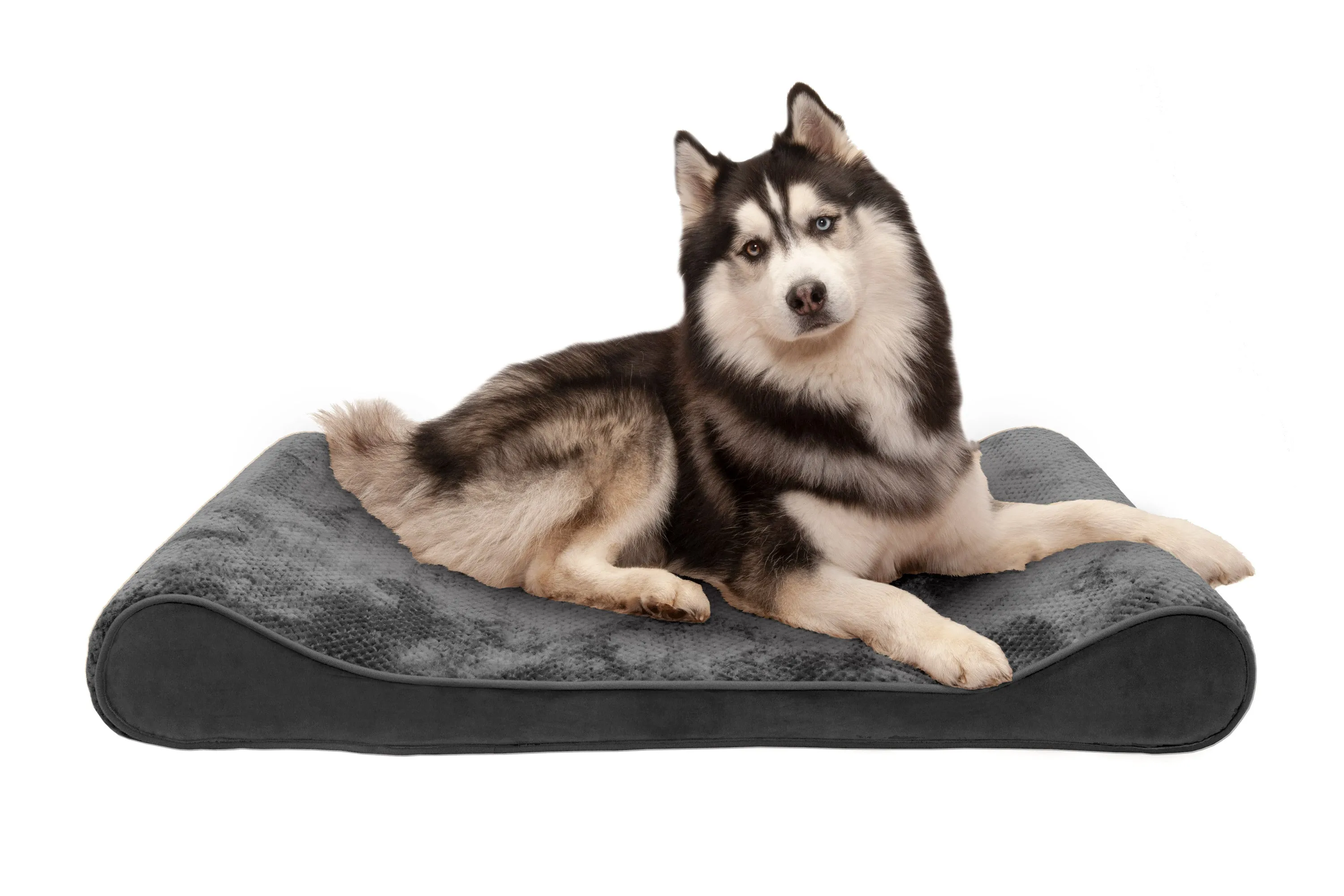 Luxe Lounger Contour Dog Bed - Minky Plush & Velvet