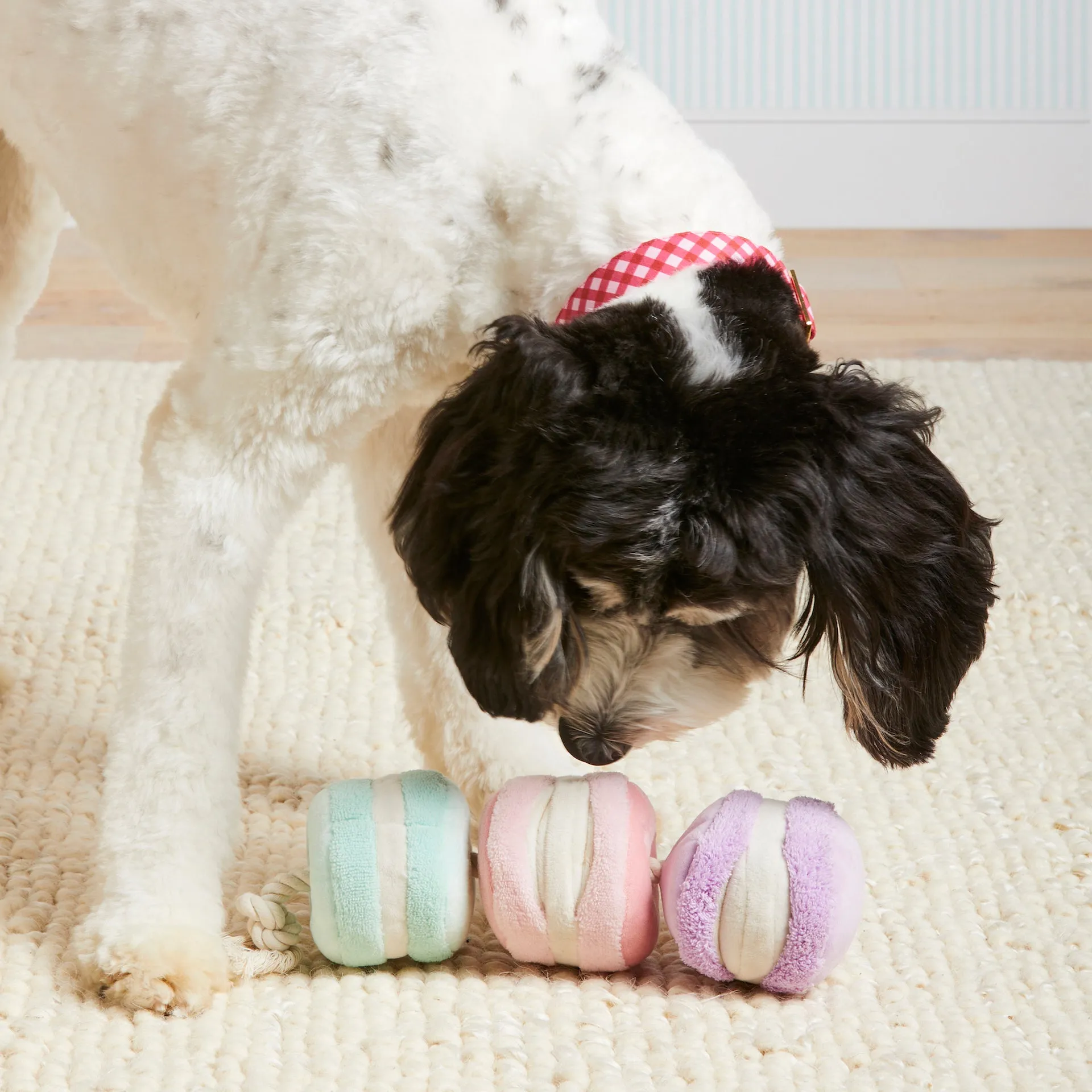 Macarons Interactive Snuffle Dog Toy