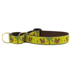 Martingale Collar | Nuts!