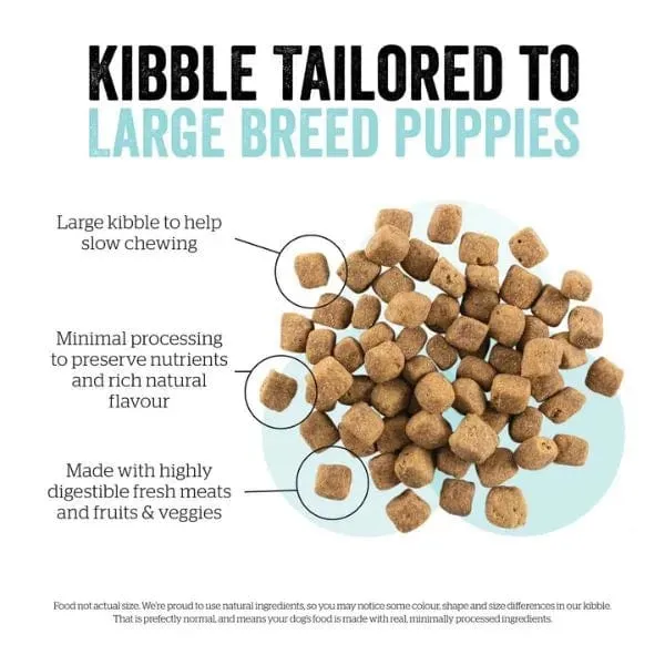 Now Fresh Turkey, Salmon & Duck Recipe Large Breed Dry Puppy Food