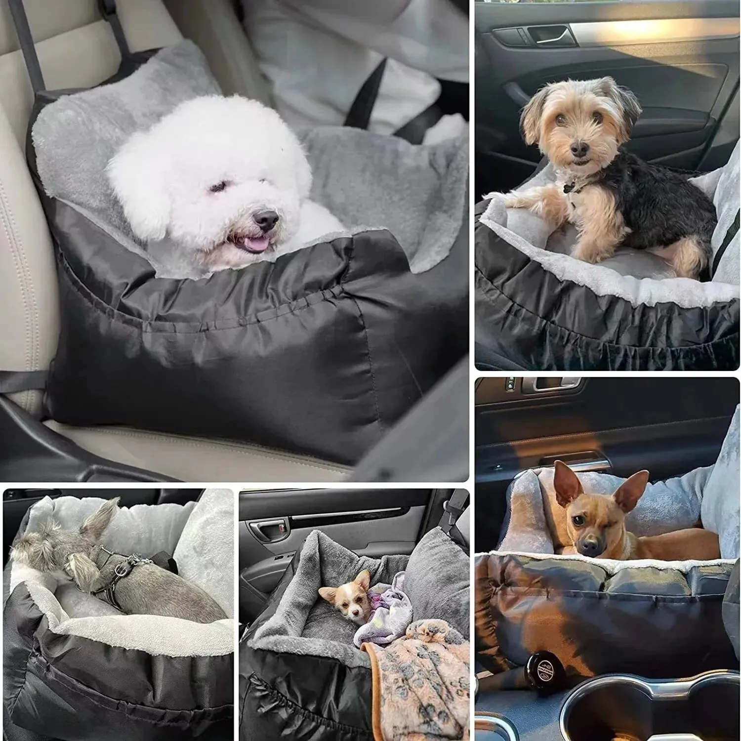 Pat and Pet Emporium | Pet Carriers | Pet Car Seat Medium Pets