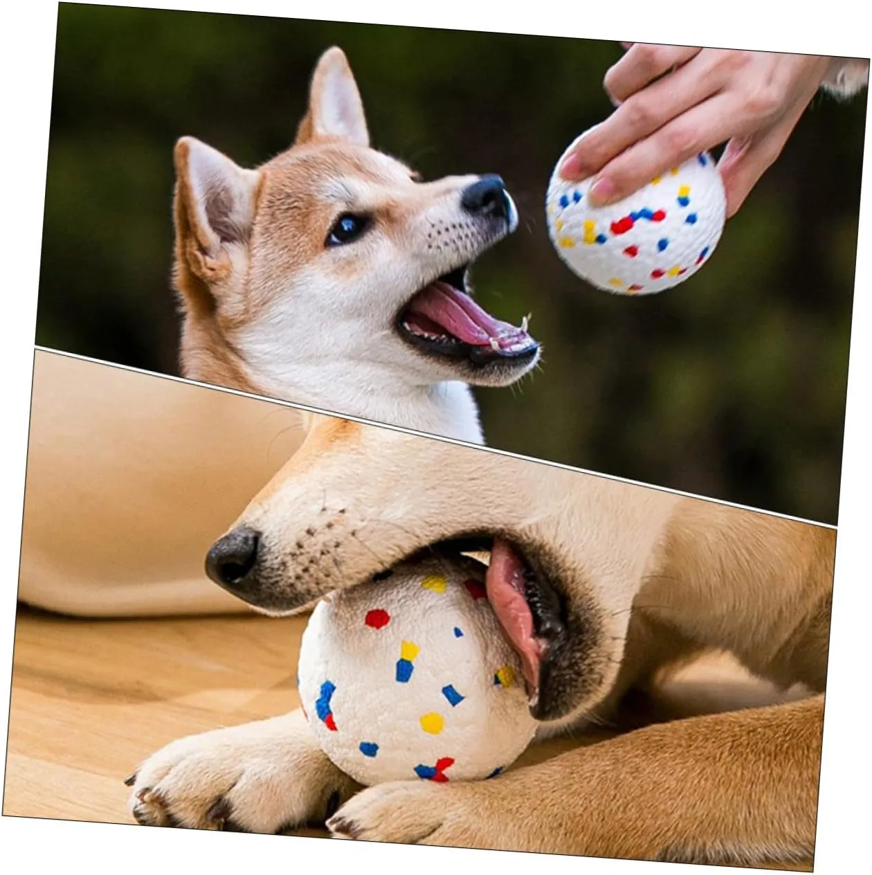 Pet Bouncy Teething Ball Kitten